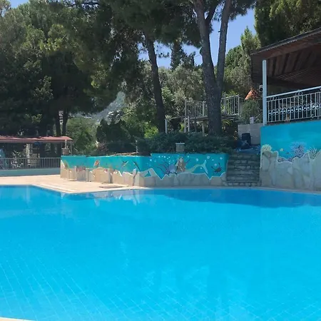 Pine Boutique Hotel